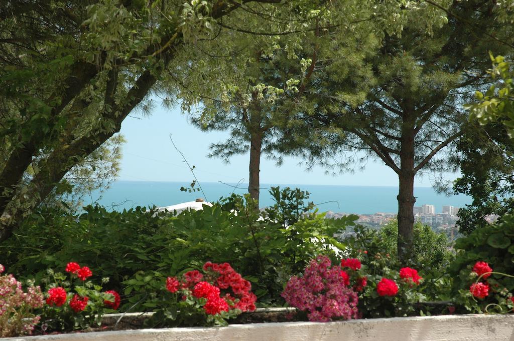 Colle Moro - B&B Villa Maria Citta Sant'Angelo Eksteriør bilde