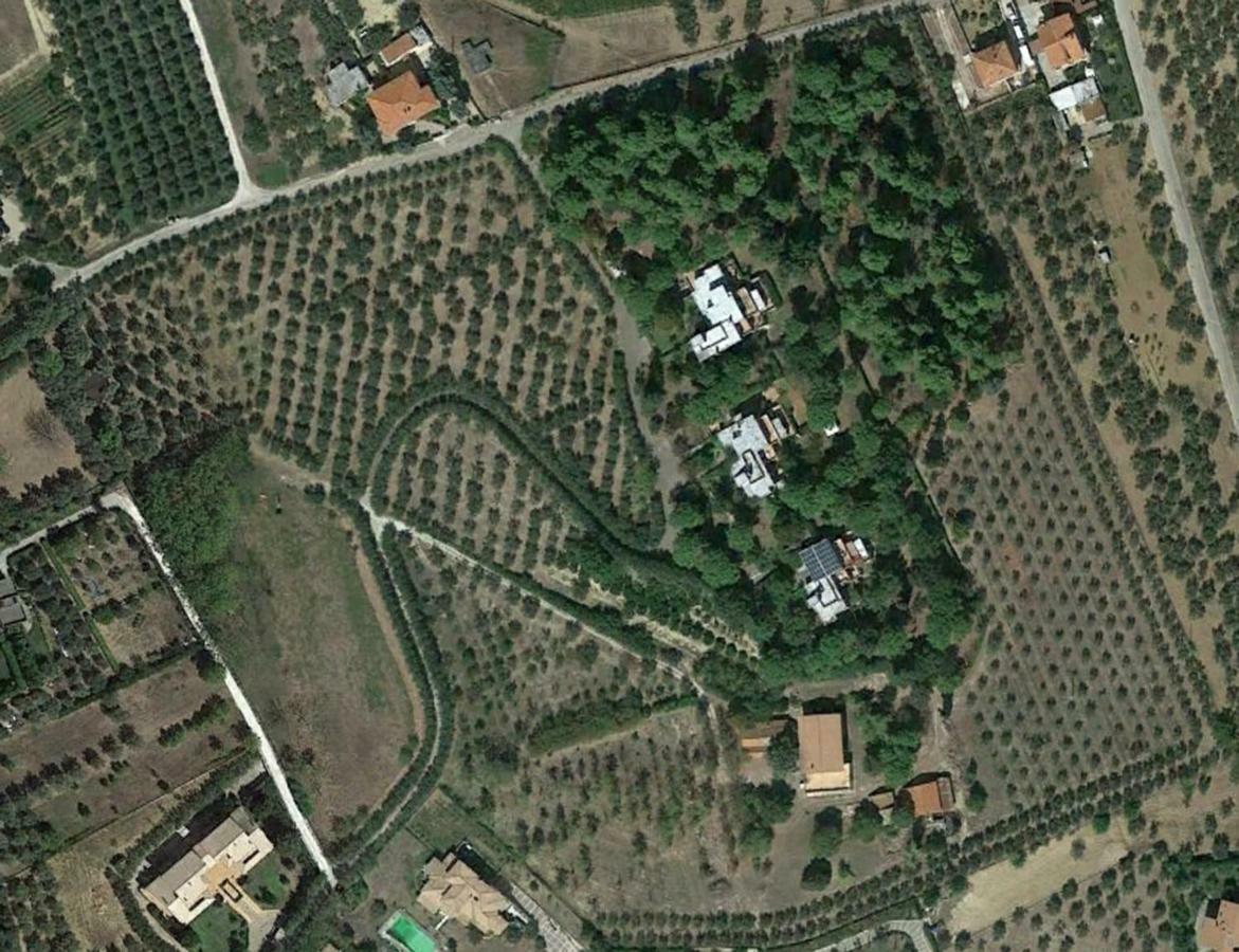 Colle Moro - B&B Villa Maria Citta Sant'Angelo Eksteriør bilde